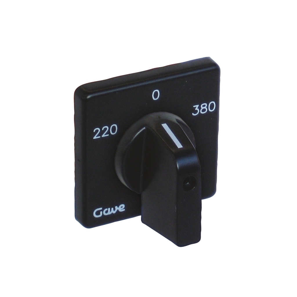 CONJUNTO CARATULA BLOQUEO BITENSION GAVE