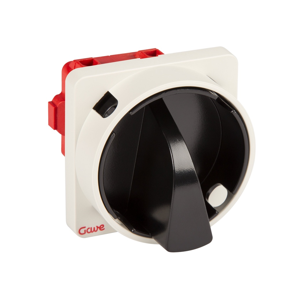 INTERRUPTOR GAVE 2P.12A.D0 BLOQUEO CANDADO NEGRO/GRIS