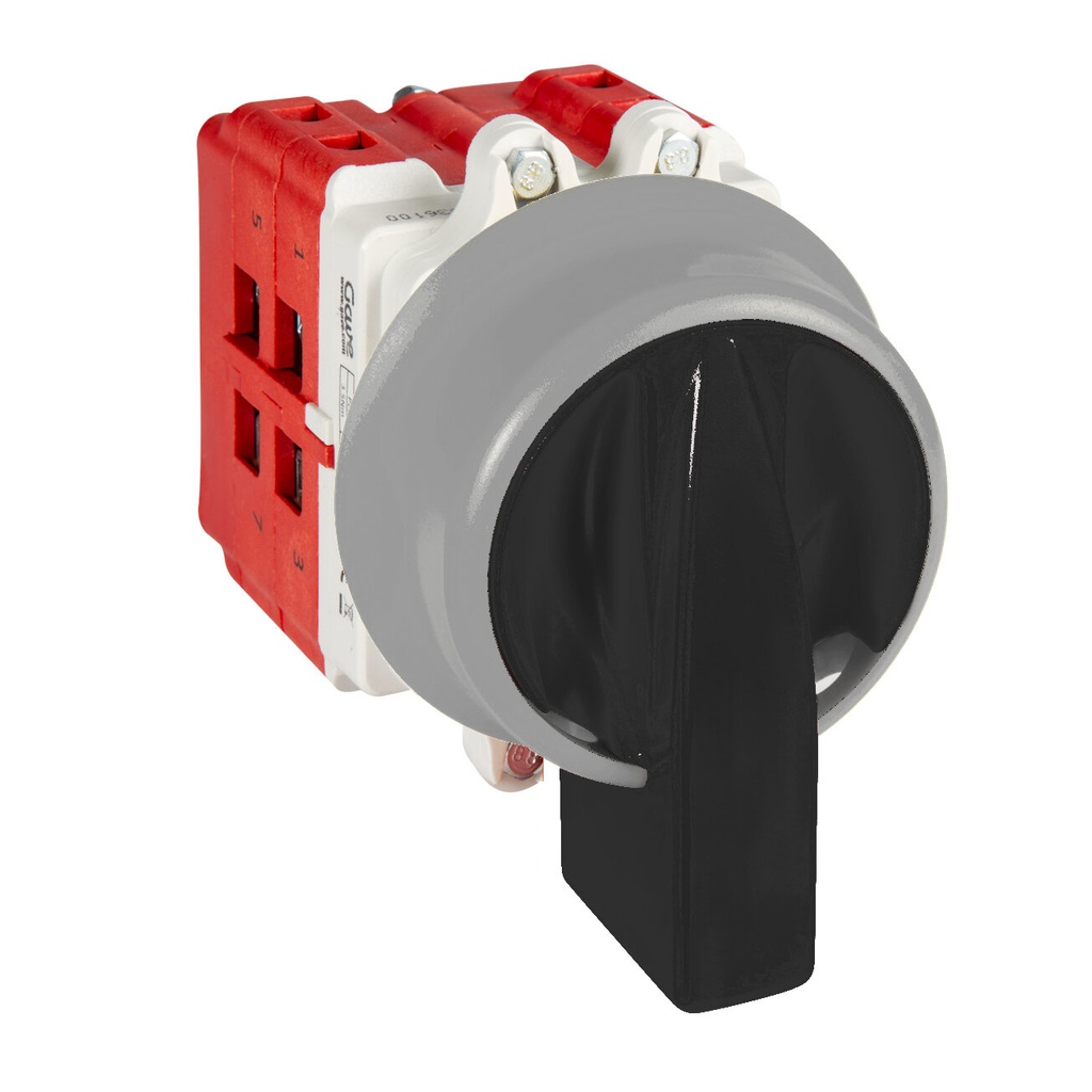 INTERRUPTOR 2P GAVE 63A.D2 MANDO BLOQUEO CANDADO IP69K NEGRO/GRIS