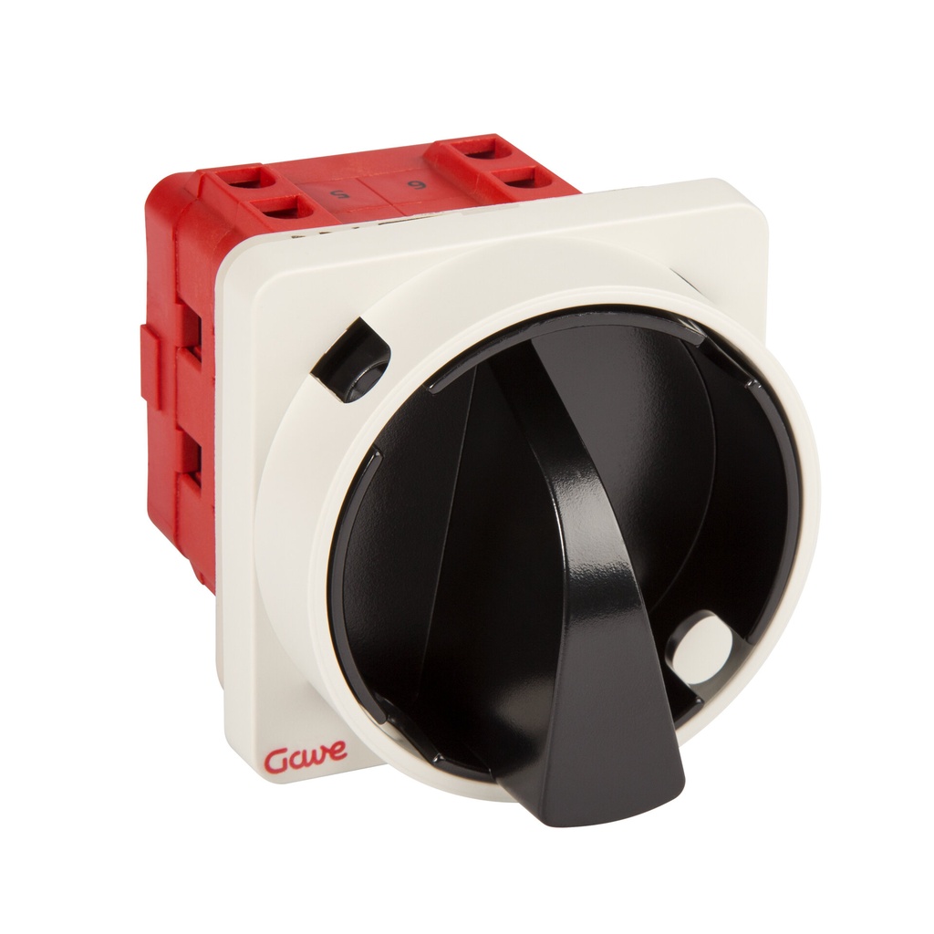 INTERRUPTOR GAVE 4P.40A.D1 BLOQUEO CANDADO NEGRO/GRIS